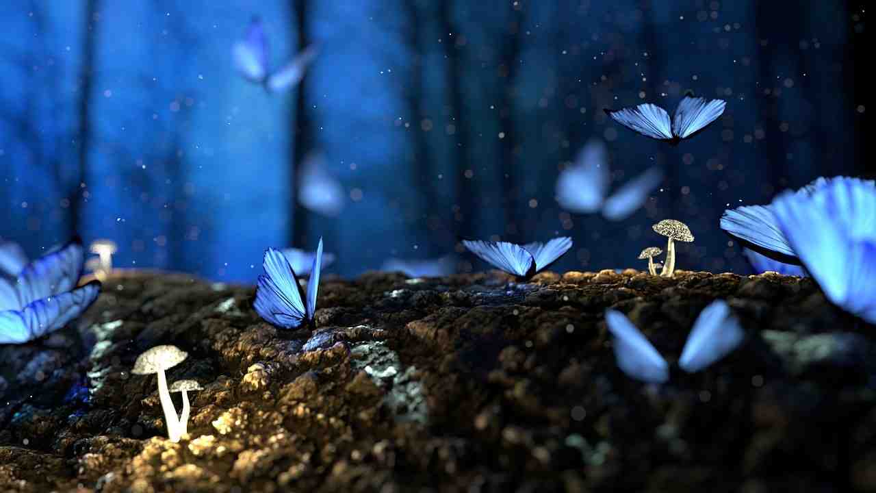 papillon, bleu, des forêts